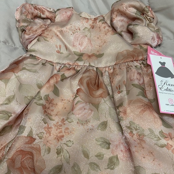 Rare Editions Other - Brand New Rare Editions Pink and Cream Floral Dress Easter size 24 months